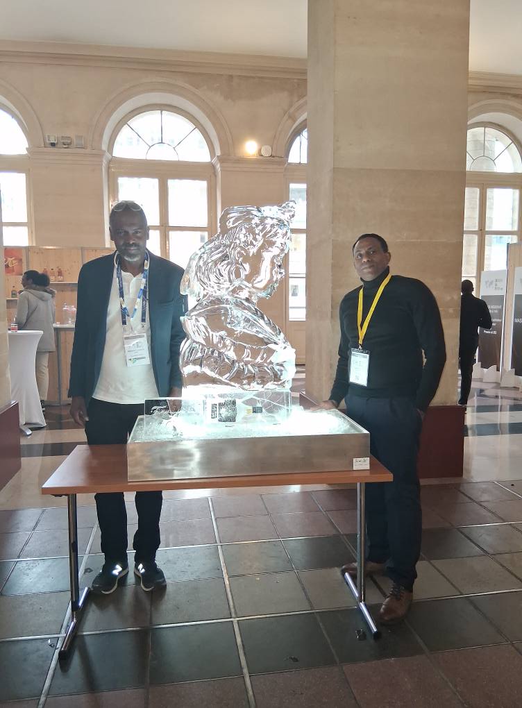 LA YOLE MARTINIQUAISE 